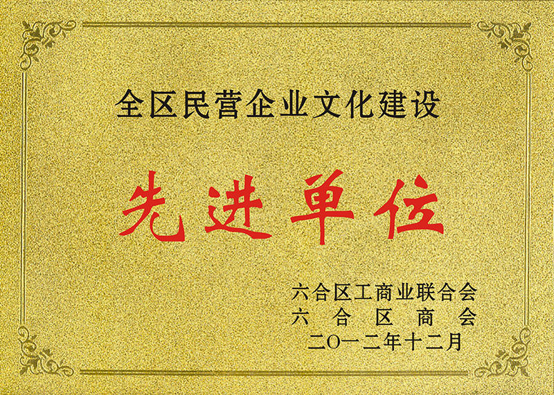 全區(qū)民營先進單位
